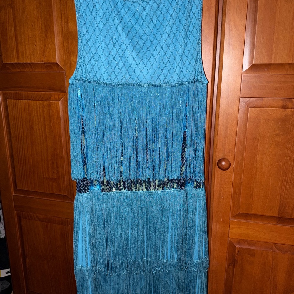 Tiered Tassel Vintage Gatsby Dress - Picture 4 of 5